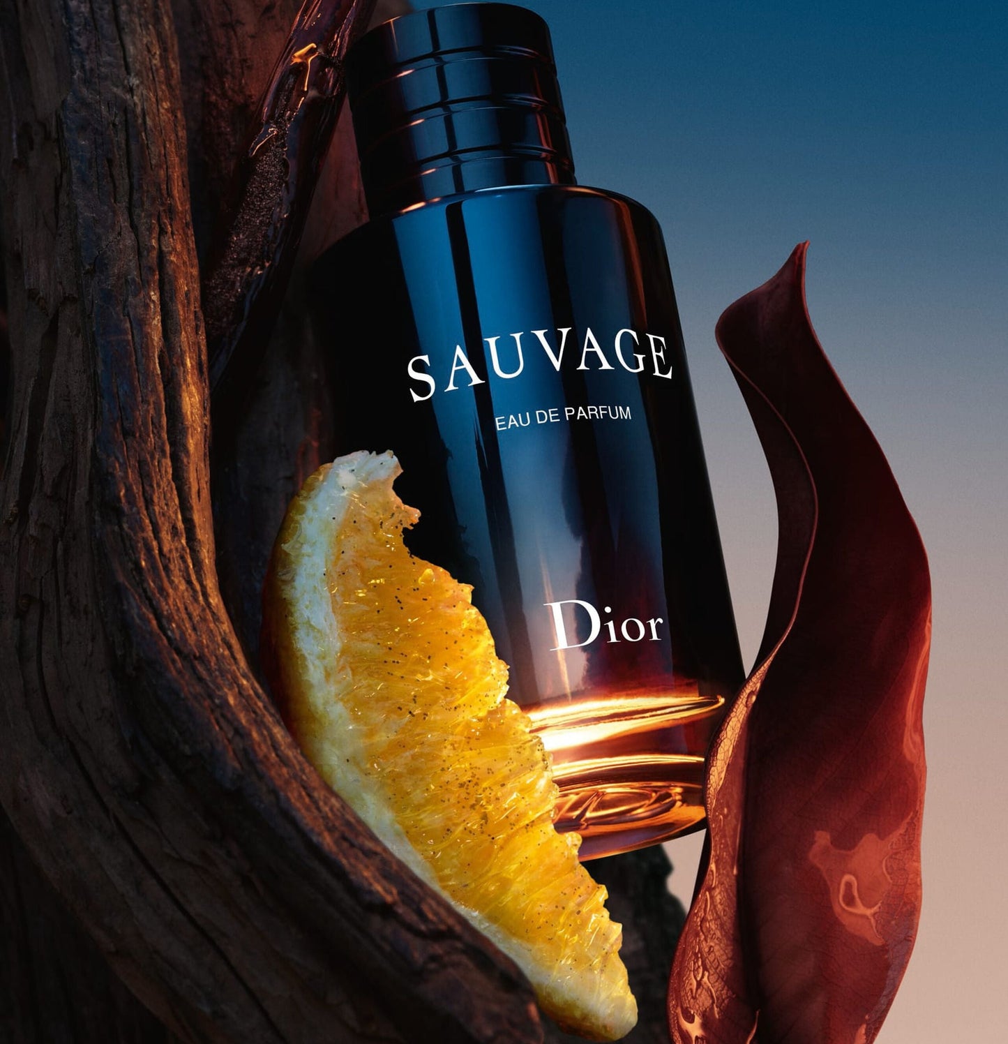 Buy 1 Get 2 – Fragrances